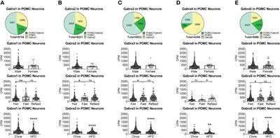 Gabra5 plays a sexually dimorphic role in POMC neuron activity and glucose balance